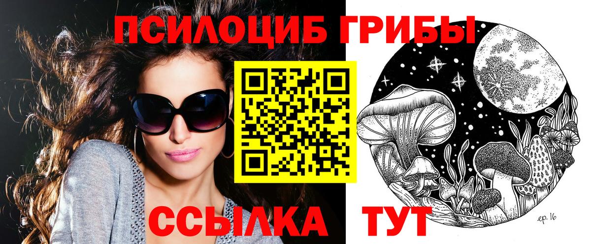 Псилоцибиновые грибы мухоморы Сертолово
