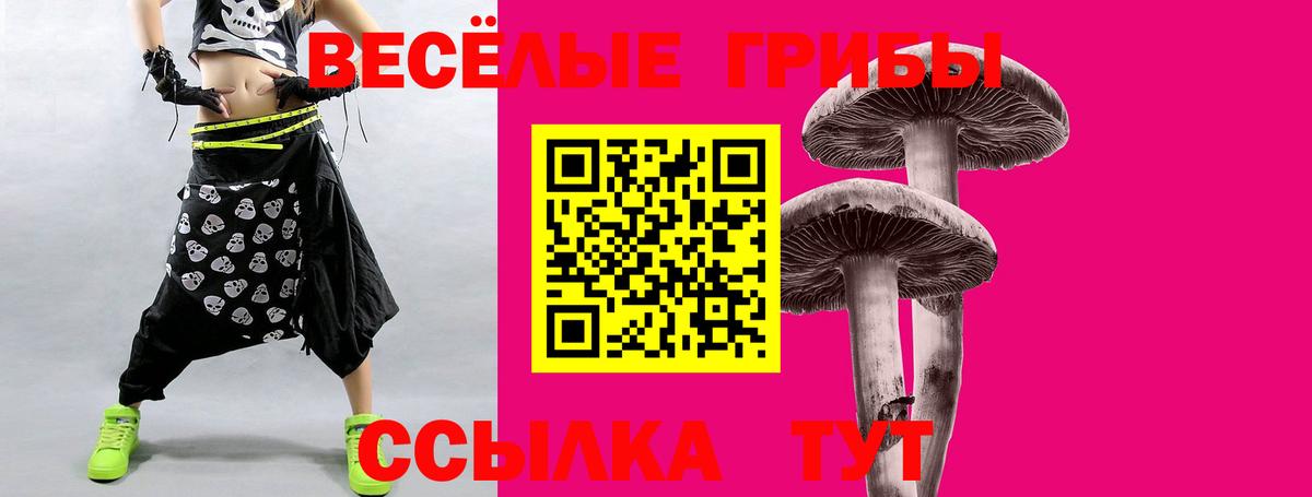 Сертолово  Галлюциногенные грибы ЛСД  Вход с VPN  Галлюциногенные грибы GOLDEN TEACHER 